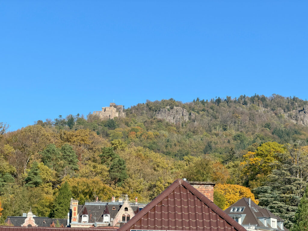 Bildtitel: Blick zum Alten Schloss